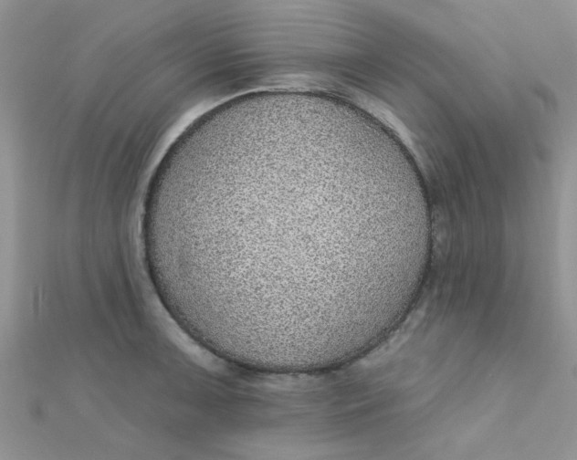 X0000112381091200909031947