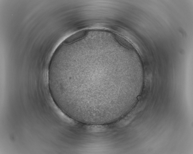 X0000112381092200909031947