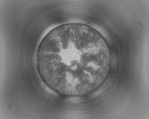 X0000112381094200909031947