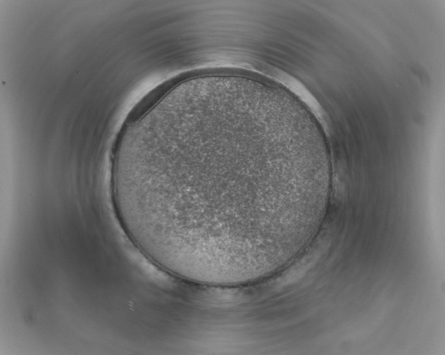 X0000112381096200909031947