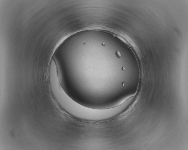 X0000112381097200909031947