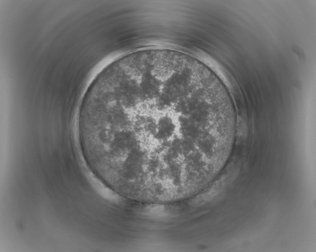 X0000112381098200909031947