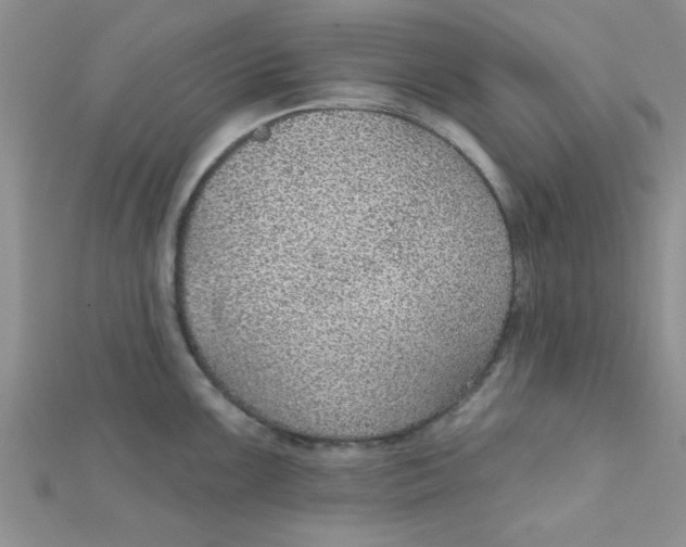 X0000112381099200909031947