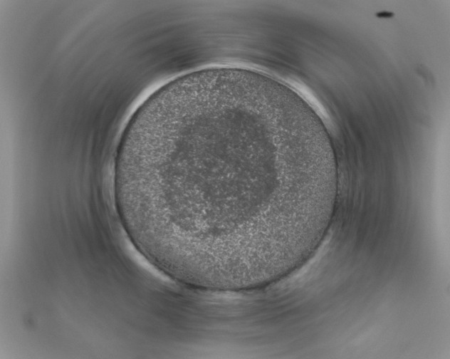 X0000112381100200909031947