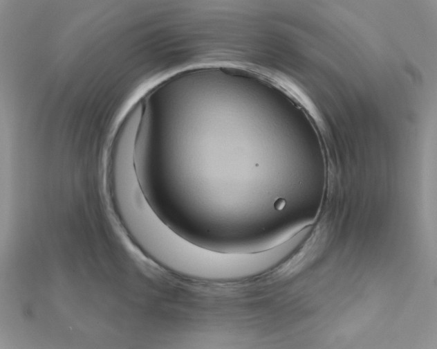 X0000112381101200909031947