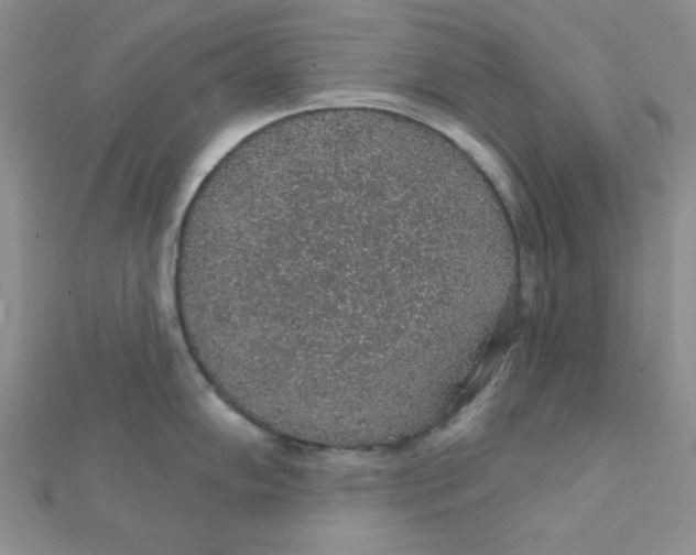 X0000112381102200909031947