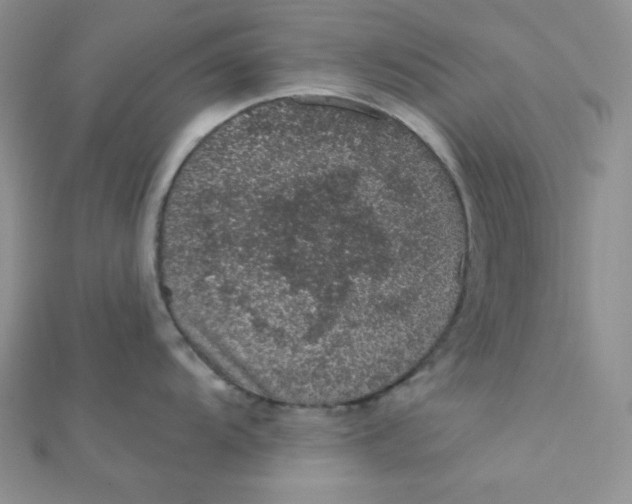 X0000112381104200909031947