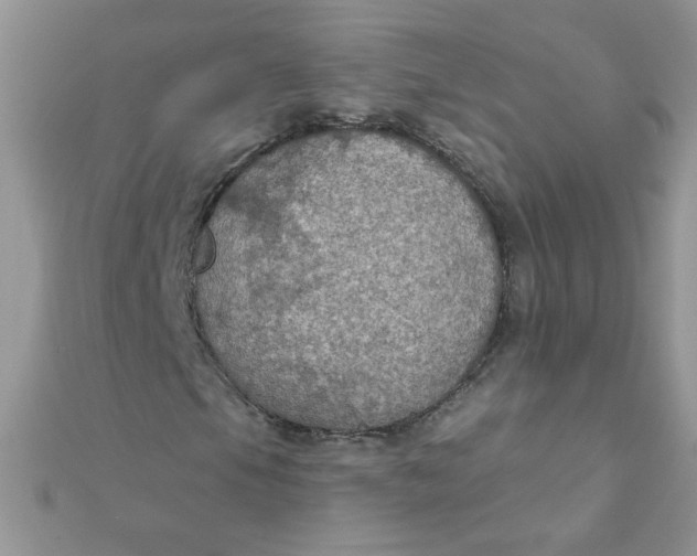 X0000112381105200909031946