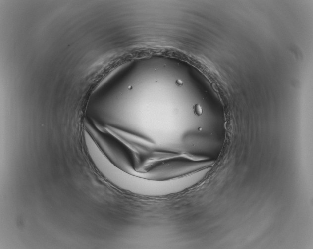 X0000112381110200909031946