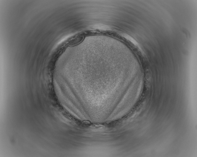 X0000112381112200909031946