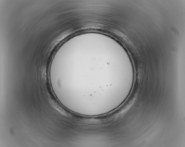 X0000112381113200909031946