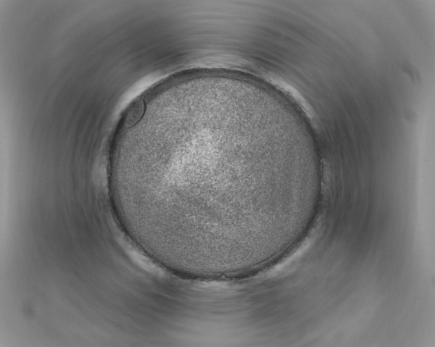 X0000112381114200909031946