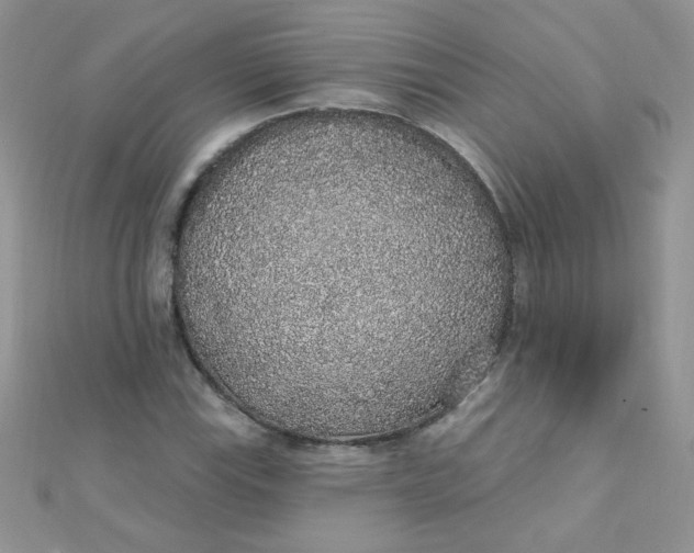 X0000112381115200909031946