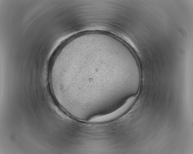 X0000112381116200909031946