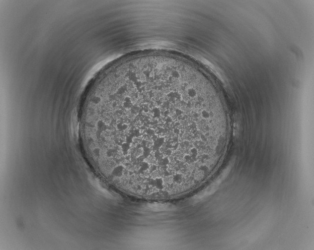 X0000112381117200909031946