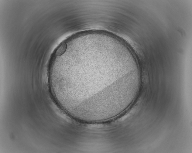 X0000112381118200909031946