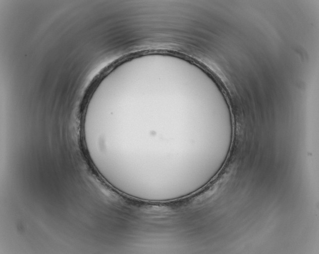 X0000112381119200909031946