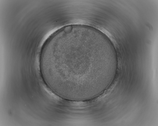 X0000112381120200909031946