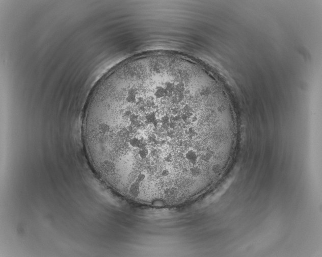 X0000112381121200909031946