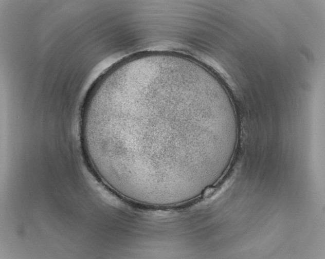 X0000112381122200909031946