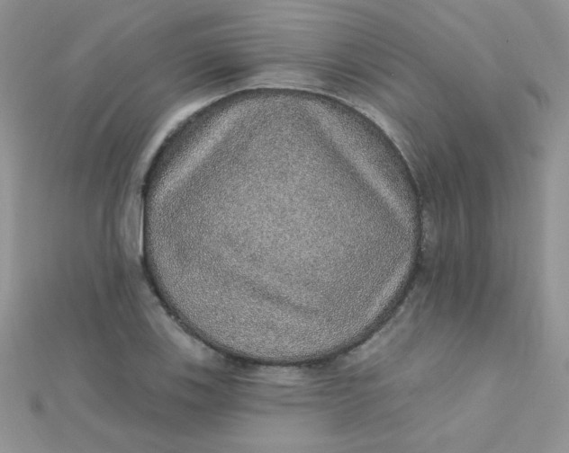 X0000112381123200909031946