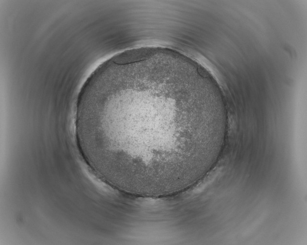 X0000112381124200909031946