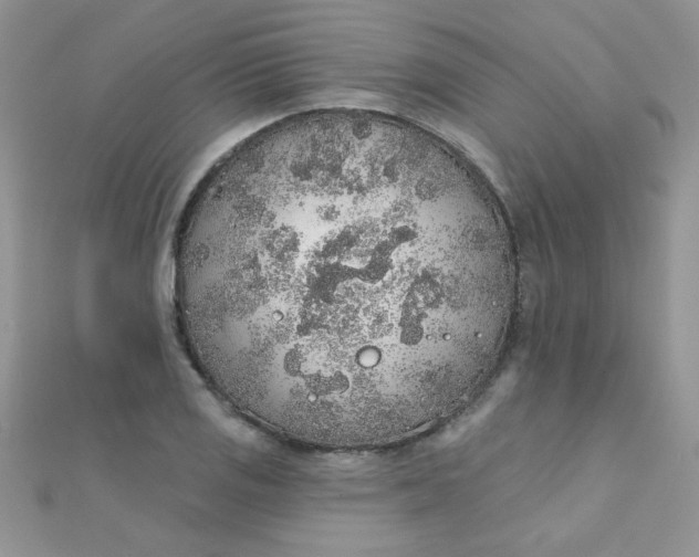 X0000112381125200909031946