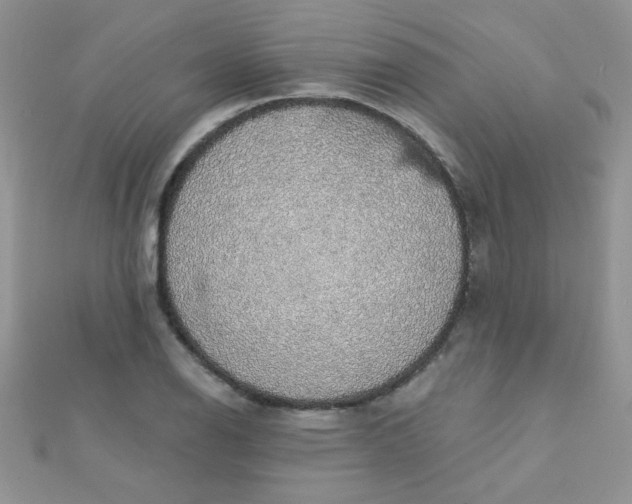 X0000112381126200909031946