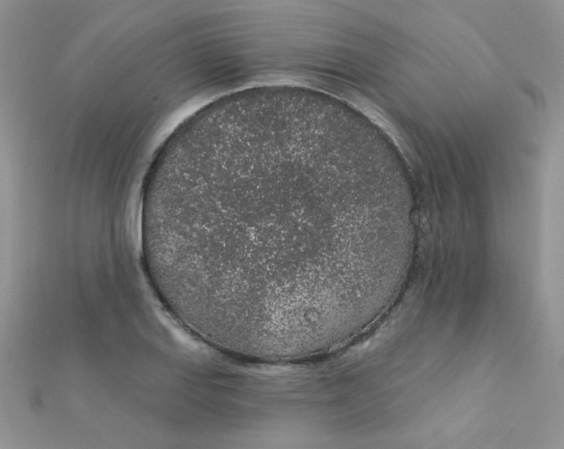 X0000112381127200909031946