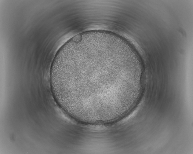 X0000112381129200909031946