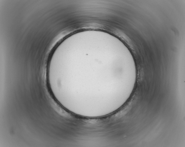 X0000112381130200909031946