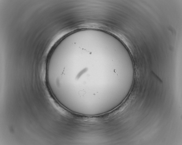 X0000112381131200909031946