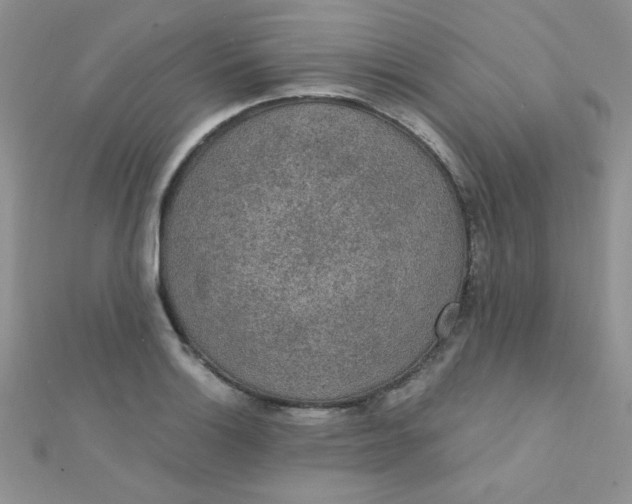 X0000112381132200909031947