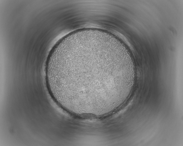 X0000112381133200909031947