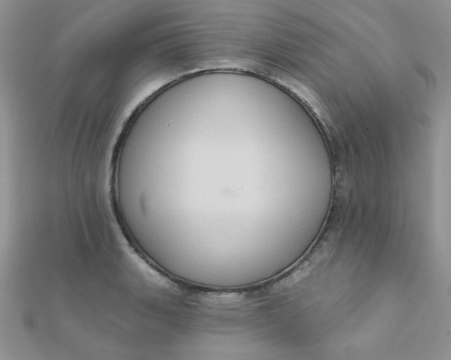 X0000112381135200909031947