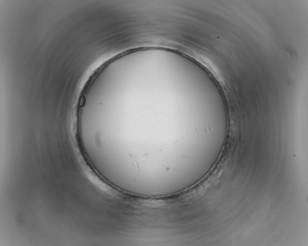 X0000112381136200909031947