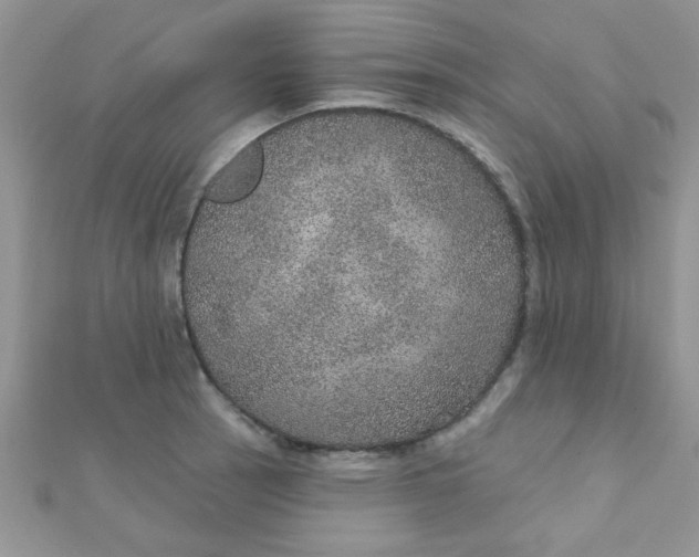 X0000112381137200909031947