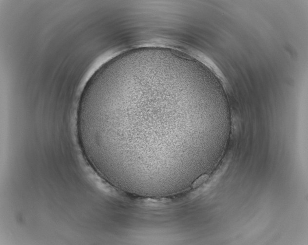 X0000112381138200909031947