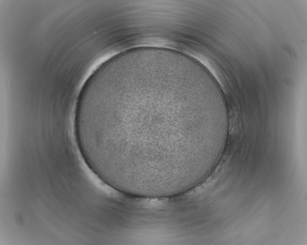 X0000112381139200909031947