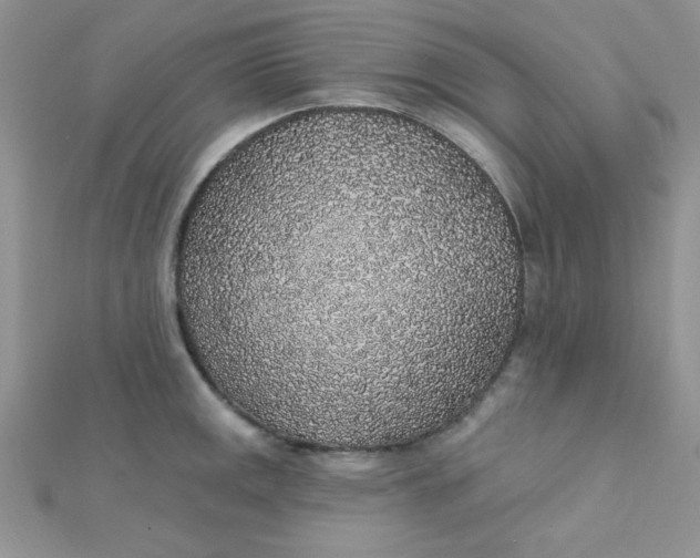 X0000112381141200909031947