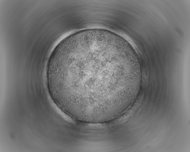 X0000112381142200909031947