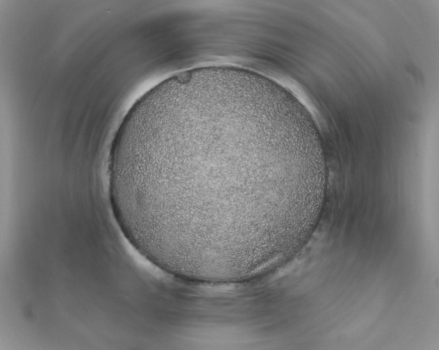 X0000112381143200909031947