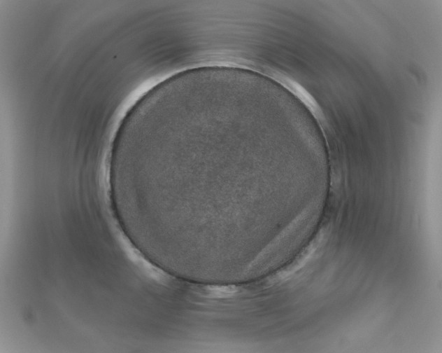 X0000112381144200909031947