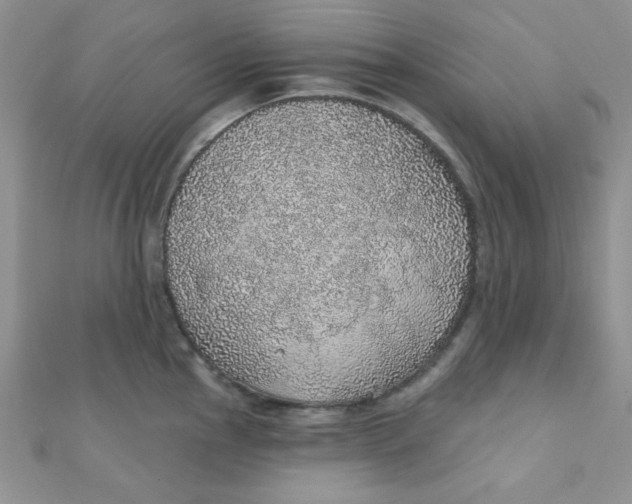 X0000112381145200909031947