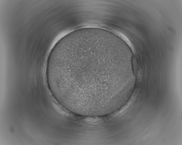 X0000112381146200909031947