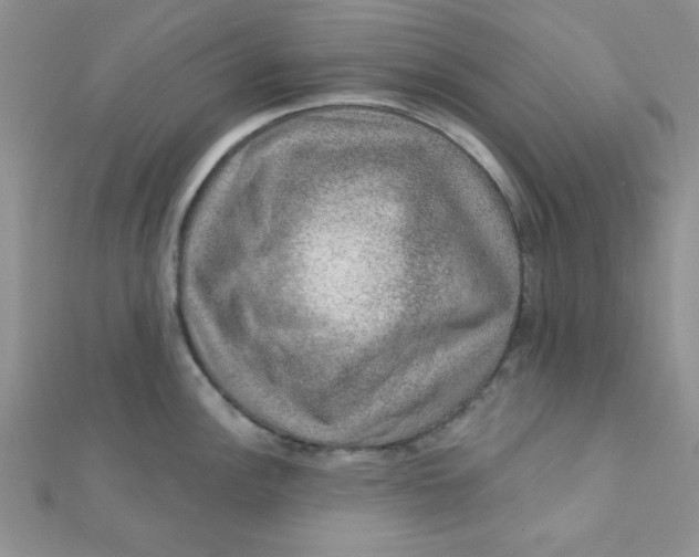 X0000112381148200909031947