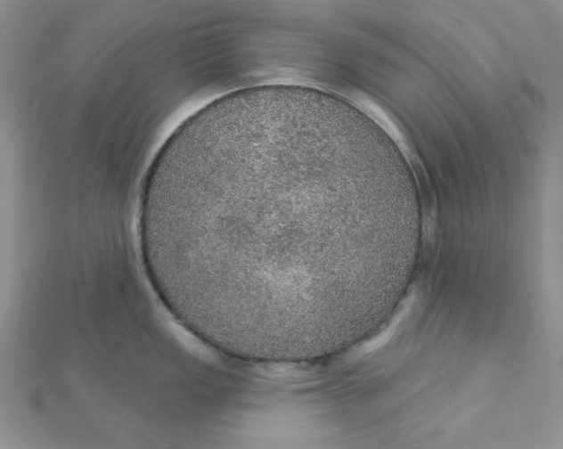 X0000112381149200909031947