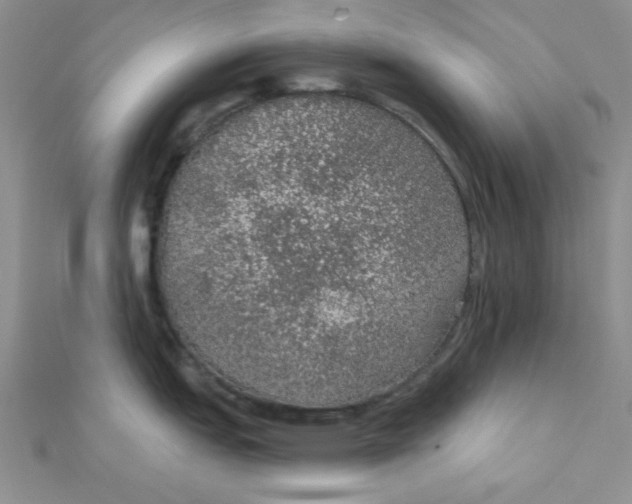 X0000112381151200909031947