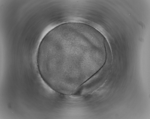 X0000112381152200909031947