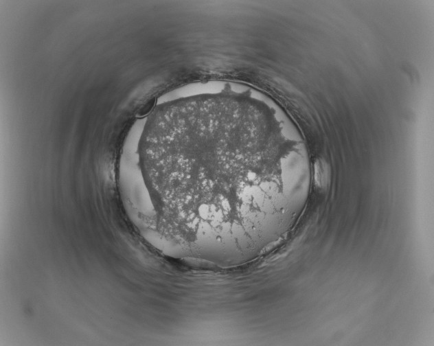 X0000112381155200909031946